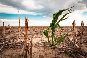 Top 10 Myths About Climate Change